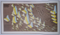 1979 - L'atlas de l'eau de Californie.png
