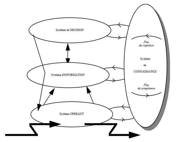 Le système de connaissances et les flux cognitifs