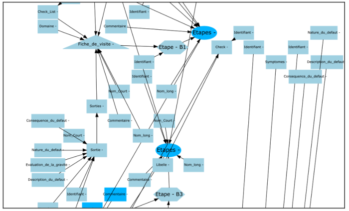 Figure 36 Génération d’un graphe orienté avec un algorithme de « force direct placement ».