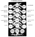 Arbre de Porphyre de Tyr pour son Introduction aux Catégories d’Aristote (vers 268) et représenté par Boèce au 6e siècle.png