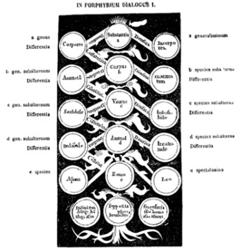 Arbre de Porphyre de Tyr pour son Introduction aux Catégories d’Aristote (vers 268) et représenté par Boèce au 6e siècle