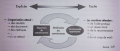 Cycle de la connaissance dans une Communauté de Pratique.png