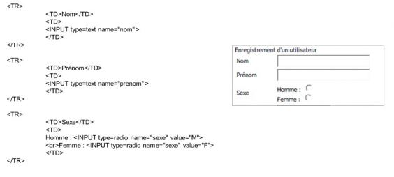 Exemple de code html et de sa visualisation